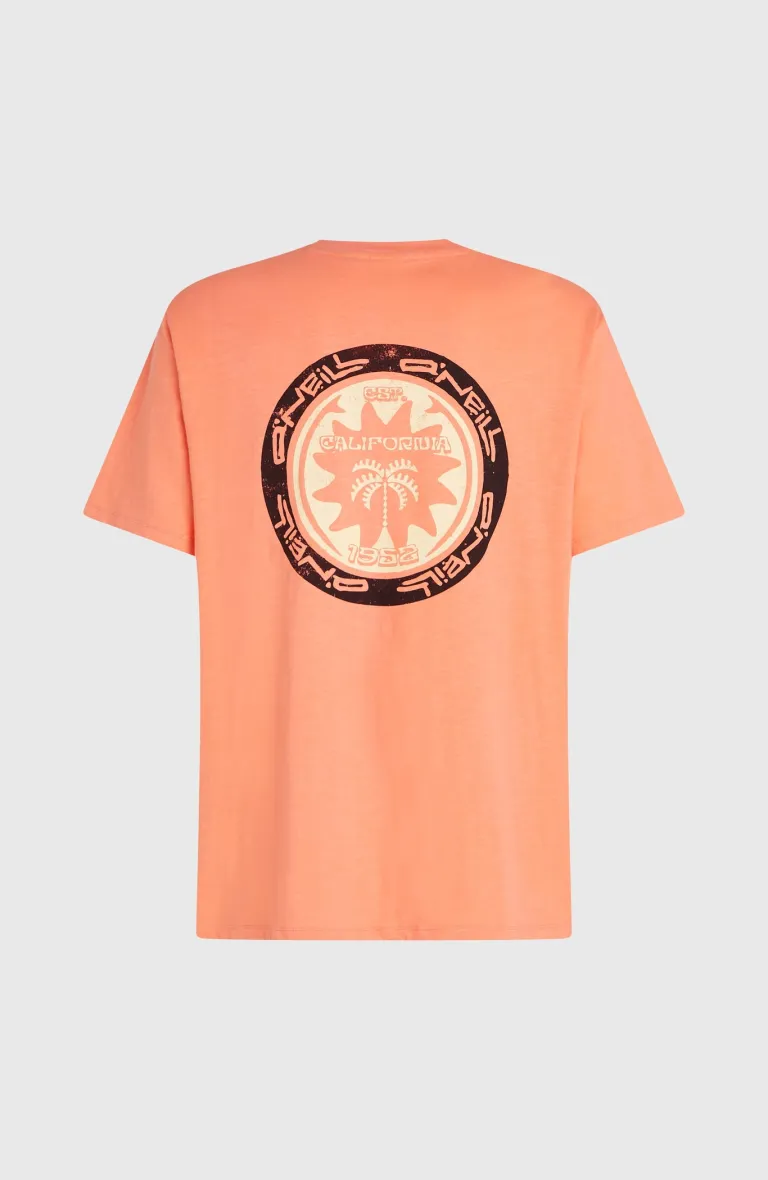 Pánske tričko Back Print